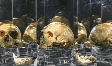 Apre oggi il Laboratorio Neanderthal