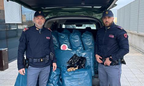 Aprilia, maxi sequestro di oppio sulla Pontina: oltre 50 chili di bulbi di papavero in auto