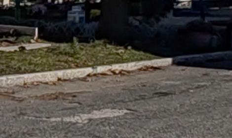 Fuochi d'artificio all'interno del cimitero, il web si divide