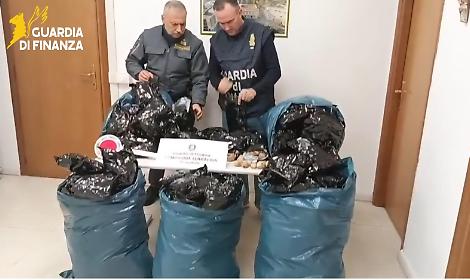 Maxi sequestro di oppio, 15mila bulbi intercettati dalla Guardia di Finanza