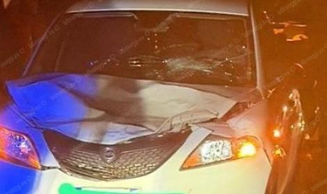 Incidente sulla Ninfina, l'auto si scontra con un toro