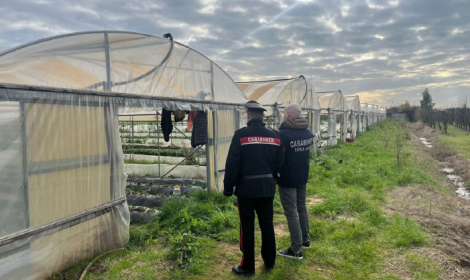 Caporalato, scattano i controlli: azienda agricola sospesa