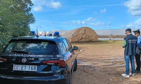 Caporalato, controlli dei Carabinieri nelle aziende agricole di Priverno e Latina: due denunce