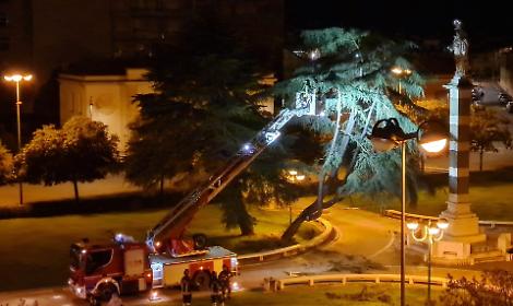 Abbattuto un albero a rischio crollo in piazza San Marco