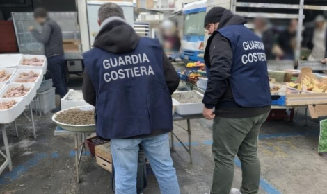 Controlli della Guardia Costiera tra Gaeta e Fondi: sequestrati 160 kg di prodotti ittici e multe