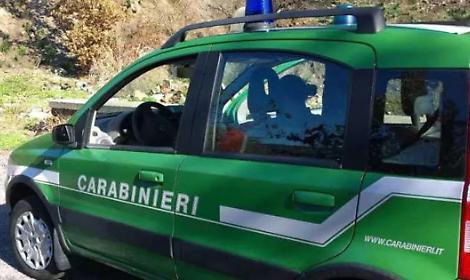 Reati ambientali, nel Lazio oltre 1.500 illeciti in un anno