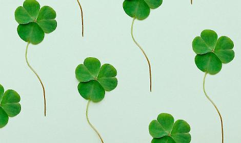 Il fascino del caso: tra rito ancestrale e architettura digitale