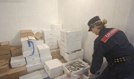 Formia: prodotti ittici in vendita senza tracciabilit&agrave; ed etichette, scattano sequestri e sanzioni