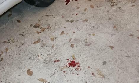 Il tabaccaio rapinato: "Violenza gratuita, cose che ti aspetti nelle metropoli e non a Latina"