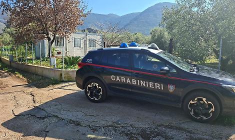 Piazzale e container abitativo senza permessi nell'uliveto, denunciato