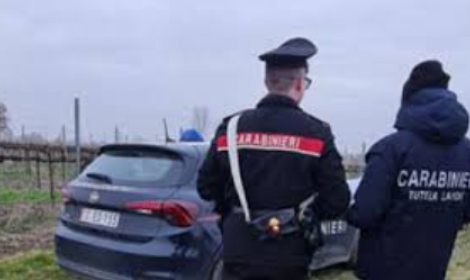 I Carabinieri eseguono un accesso ispettivo presso un&rsquo;azienda agricola: denunciato il proprietario