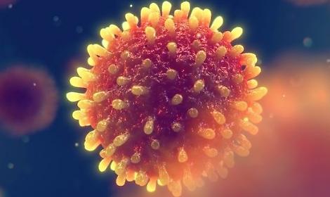 Epatite A in provincia di Latina: 24 casi segnalati, 6 ricoveri stabili. La Asl attiva la task force