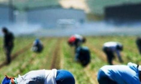 Decreto Flussi, Flai Cgil: &ldquo;Nel Lazio numeri inaccettabili, sistema da cancellare&rdquo;