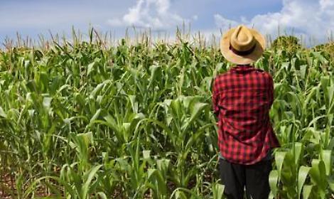 Ismea al XIV convegno nazionale sulla gestione del rischio in agricoltura