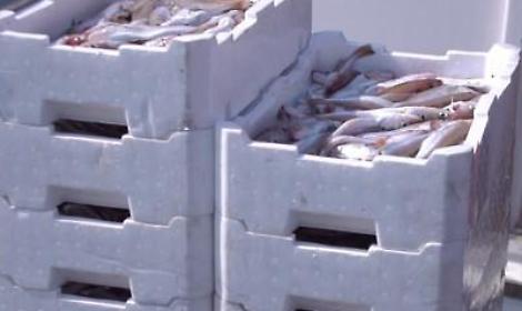 Cassette per il pesce in polistirolo, recuperabili e riciclabili al 100%