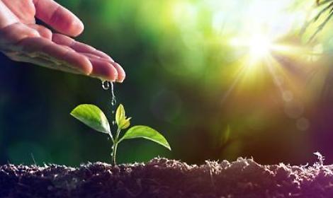 Blasi (Mipaaf): 'Da 2023 con fondo mutualistico 350 mln per avversit&agrave; catastrofali'