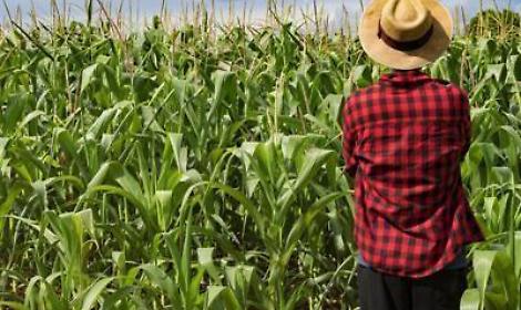 Moroni (Umbria): 'Fondo mutualistico scelta in giusta direzione'