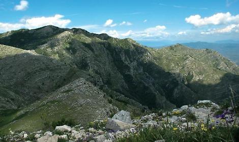 Tra i sentieri di Monte Petrella e Monte Sant'Angelo