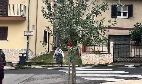 Festa dell'albero dedicata a Giulia Cecchettin