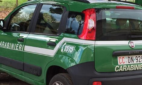 Abbandono di rifiuti, denunciato il presunto responsabile