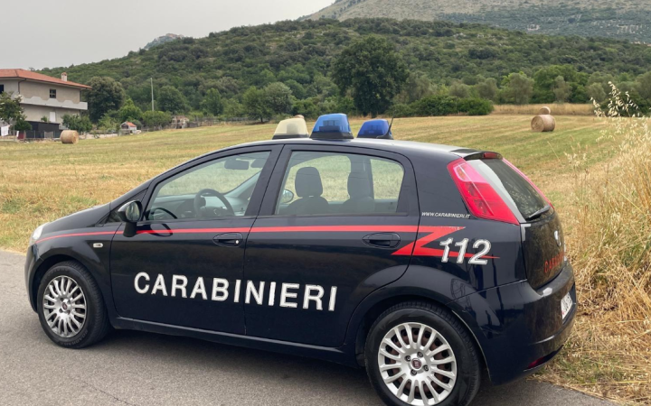 Ladri di olio in azione: entrano nel frantoio VinPia e se ne vanno con 400 litri di prodotto