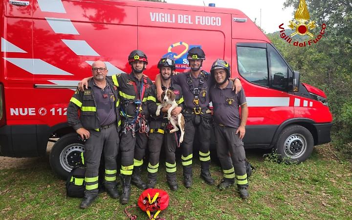 Latina, i Vigili del Fuoco salvano un cucciolo caduto in un dirupo di oltre 30 metri