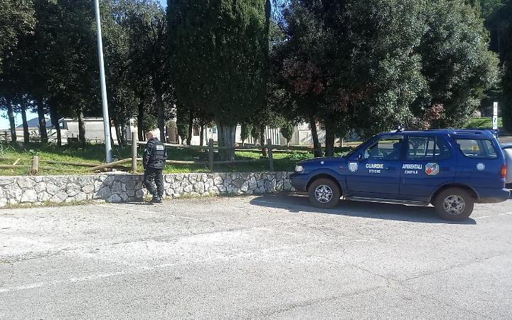 Cercavano lupi, trovano una discarica