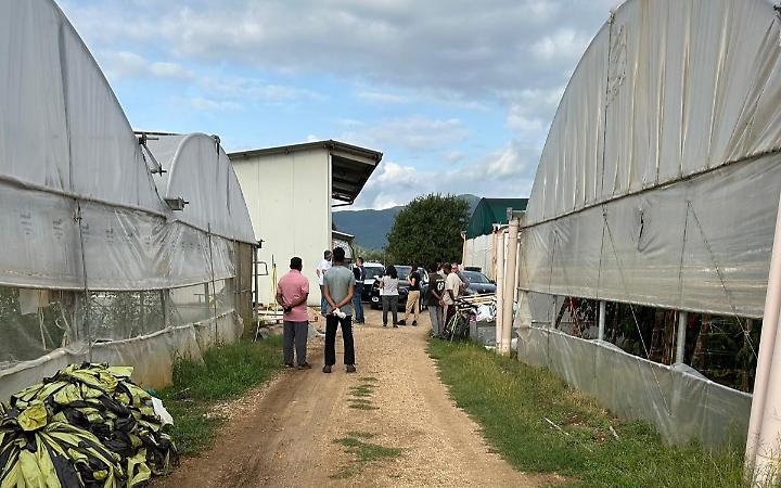 Scoperti lavoratori irregolari nell'azienda agricola