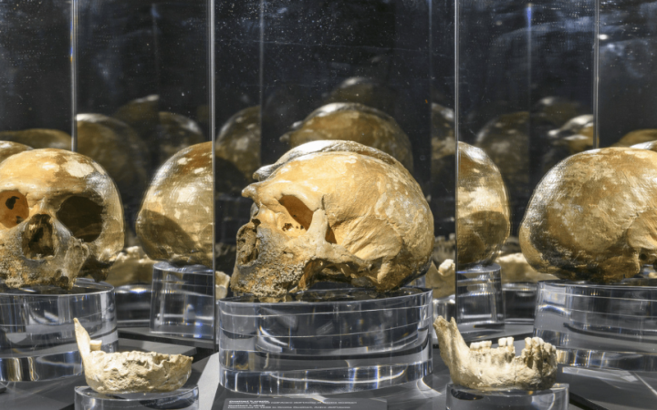 Apre oggi il Laboratorio Neanderthal