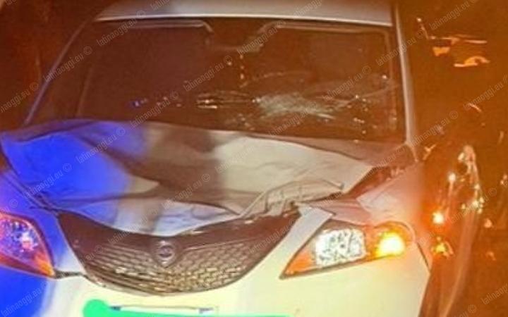 Incidente sulla Ninfina, l'auto si scontra con un toro