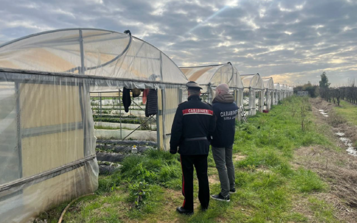 Caporalato, scattano i controlli: azienda agricola sospesa