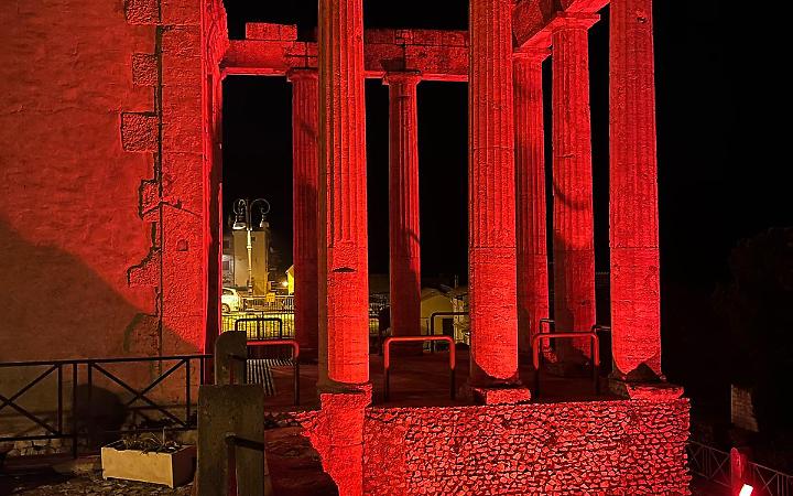 Una luce rossa per far conoscere l'encefalite