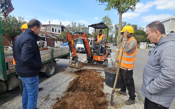 Terracina, gestione verde pubblico: al via la prima fase