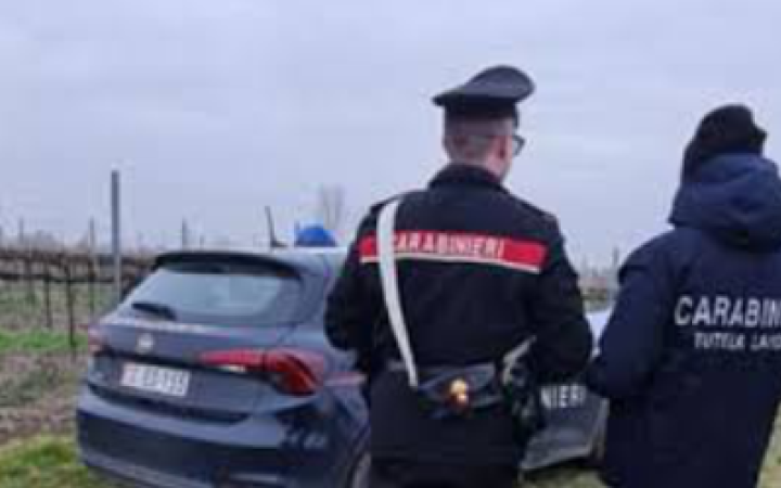 I Carabinieri eseguono un accesso ispettivo presso un&rsquo;azienda agricola: denunciato il proprietario