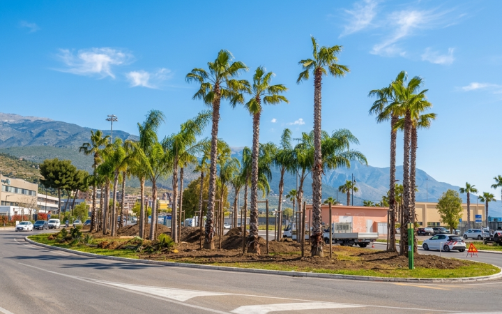 Gaeta sempre pi&ugrave; verde: 180 nuovi alberi all&rsquo;ingresso della citt&agrave;