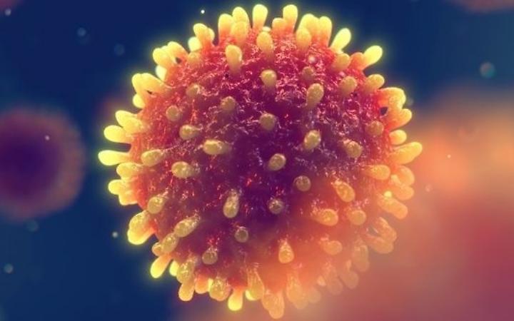 Epatite A in provincia di Latina: 24 casi segnalati, 6 ricoveri stabili. La Asl attiva la task force