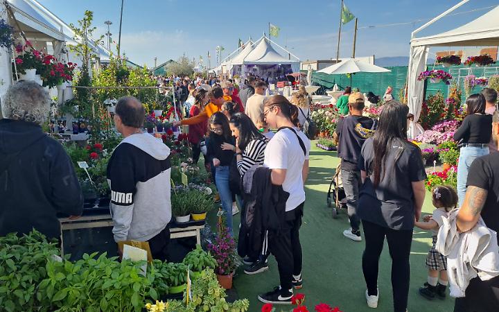 Campoverde celebra l'agricoltura, al via la 39esima Mostra nazionale