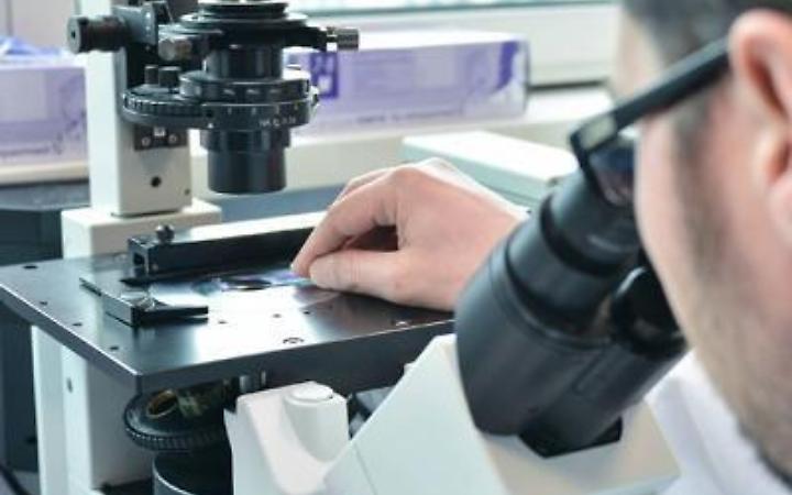 Ruba al centro commerciale, incastrato dal DNA dopo 9 anni