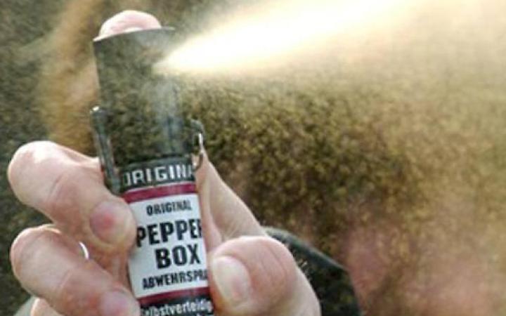 Rubano in casa un orologio da 10mila euro: scappano all'arrivo del proprietario