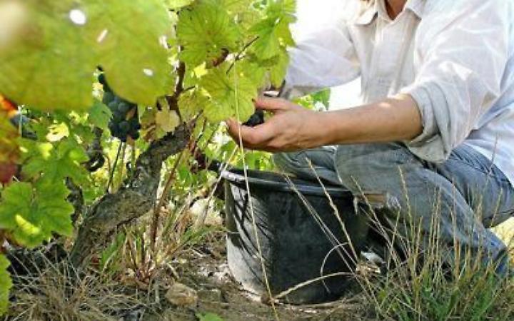Anascodi: 'Bene sinergia fondo mutualistico avversit&agrave; catastrofali con assicurazioni'