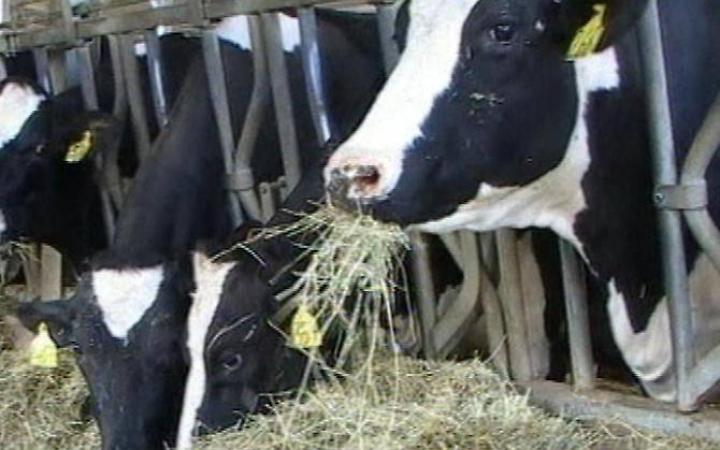 Sversamento illeciti a Chiesuola: allevatore denunciato