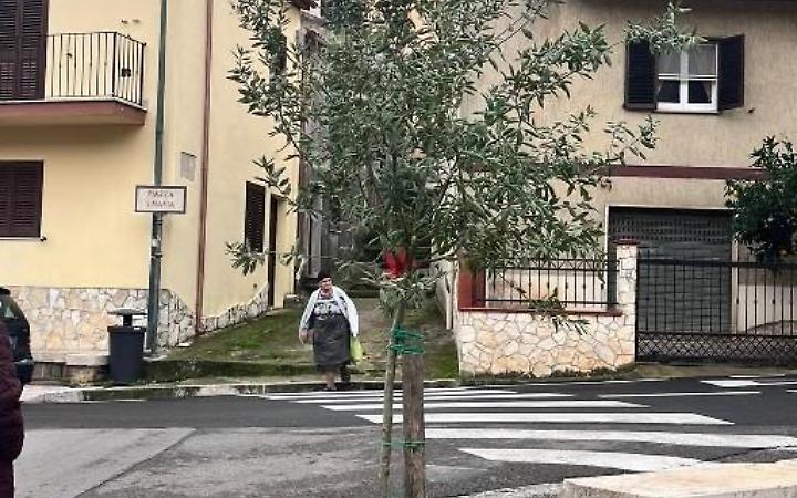 Festa dell'albero dedicata a Giulia Cecchettin