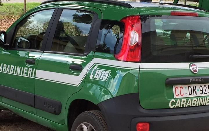 Abbandono di rifiuti, denunciato il presunto responsabile